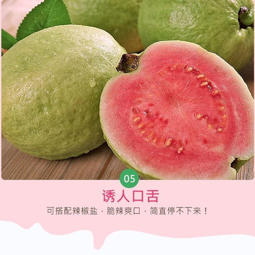 红心芭乐 健康与美味的新鲜水果批发指南