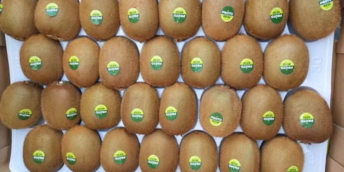 999份新鲜水果免费送！廊坊这家批发市场邀您共享甜蜜盛宴