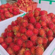 红毛丹 热带佳果的批发采购与市场机遇