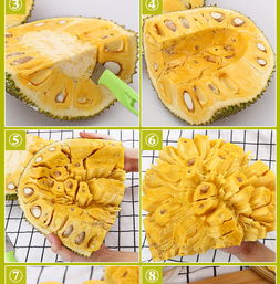 三亚菠萝蜜 热带果王的批发商机与品鉴指南